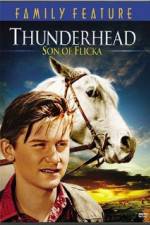 Watch Thunderhead - Son of Flicka M4ufreemovies
