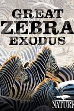 Watch Nature: Great Zebra Exodus M4ufreemovies