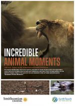 Watch Incredible Animal Moments M4ufreemovies