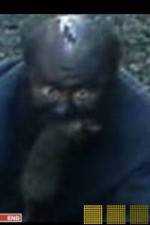 Watch The Legend of Catman M4ufreemovies