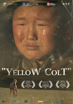 Watch Yellow Colt M4ufreemovies