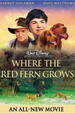 Watch Where the Red Fern Grows M4ufreemovies