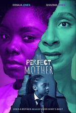 Watch The Perfect Mother M4ufreemovies
