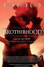 Watch Brotherhood M4ufreemovies