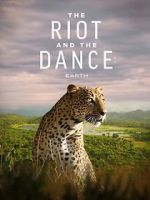Watch The Riot and the Dance M4ufreemovies