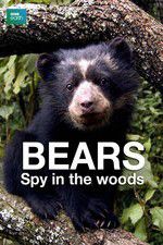 Watch Bears: Spy in the Woods M4ufreemovies