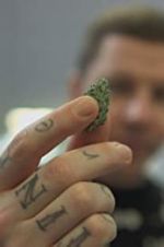 Watch Professor Green: Is It Time to Legalise Weed? M4ufreemovies