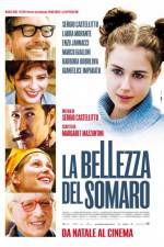 Watch La bellezza del somaro M4ufreemovies