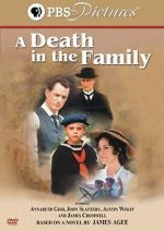 Watch A Death in the Family M4ufreemovies