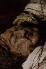 Watch The Separation M4ufreemovies