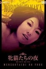 Watch Night of the Felines M4ufreemovies