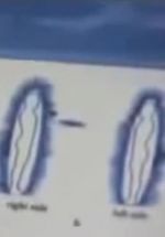 Watch Quantum Communication M4ufreemovies