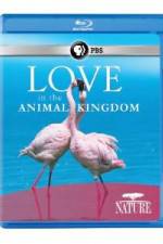 Watch Nature: Love in the Animal Kingdom M4ufreemovies