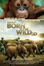 Watch Born to Be Wild M4ufreemovies