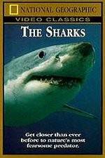 Watch National Geographic The Sharks M4ufreemovies