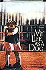 Watch My Life As A Dog M4ufreemovies