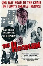 Watch The Hoodlum M4ufreemovies