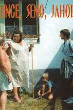 Watch Slunce, seno, jahody M4ufreemovies