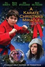 Watch A Karate Christmas Miracle M4ufreemovies