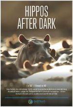 Watch Hippos After Dark M4ufreemovies