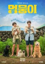 Watch My Heart Puppy M4ufreemovies