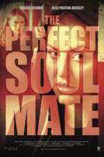 Watch The Perfect Soulmate M4ufreemovies