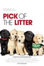 Watch Pick of the Litter M4ufreemovies