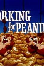 Watch Working For Peanuts M4ufreemovies