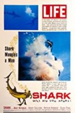 Watch Shark M4ufreemovies