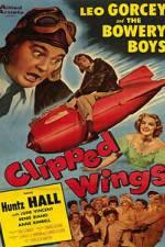 Watch Clipped Wings M4ufreemovies