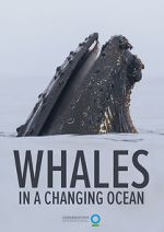 Watch Whales in a Changing Ocean (Short 2021) M4ufreemovies
