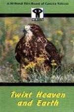 Watch Twixt Heaven and Earth M4ufreemovies