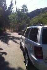 Watch Nefarious Nellie M4ufreemovies