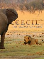 Watch Cecil: The Legacy of a King M4ufreemovies
