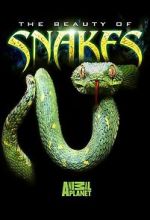 Watch Beauty of Snakes M4ufreemovies