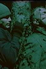 Watch Befrielsesbilleder M4ufreemovies