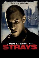 Watch Strays M4ufreemovies
