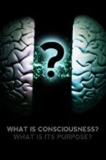 Watch What Is Consciousness? What Is Its Purpose? M4ufreemovies