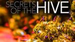 Watch Secrets of the Hive M4ufreemovies