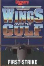 Watch Wings Over the Gulf Vol  1  First Strike M4ufreemovies