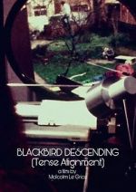 Watch Blackbird Descending M4ufreemovies