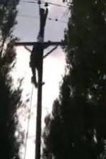 Watch After the Wind M4ufreemovies