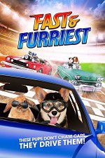Watch Fast and Furriest M4ufreemovies