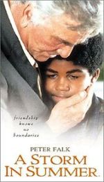 Watch A Storm in Summer M4ufreemovies