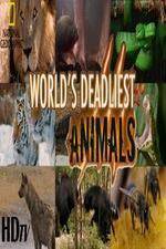 Watch National Geographic - Worlds Deadliest Animal Battles M4ufreemovies