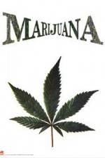 Watch Nederwiet De Moevie M4ufreemovies