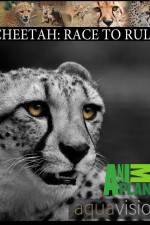 Watch Cheetah: Race to Rule M4ufreemovies