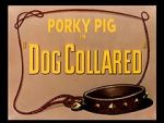 Watch Dog Collared (Short 1950) M4ufreemovies