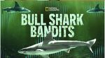 Watch Bull Shark Bandits M4ufreemovies