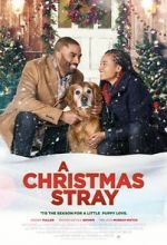 Watch A Christmas Stray M4ufreemovies